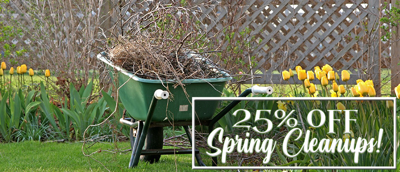 25% Off Spring Cleanups