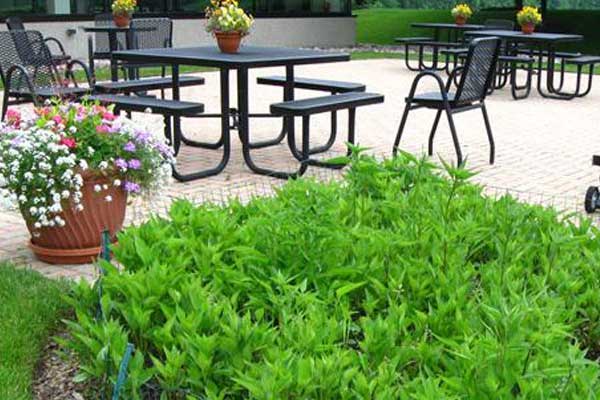 commercial landscaping